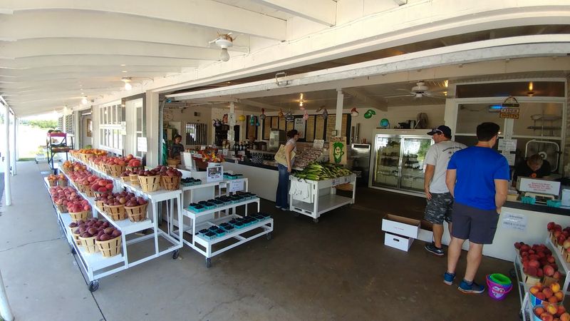 A Century of Farm-Market Tradition