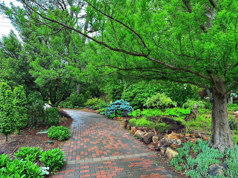 A Century of Growth - The Garden's History and Academic Roots A Century of Growth - The Garden's History and Academic Roots