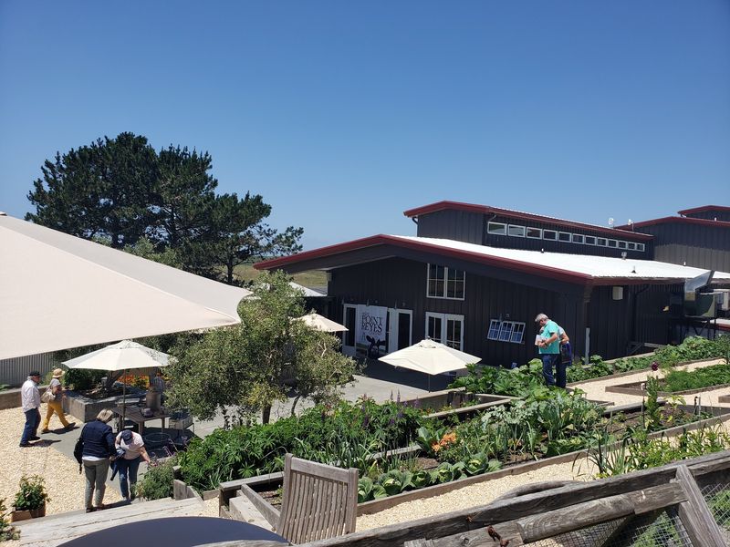 A Coastal Creamery Tucked Above Tomales Bay A Coastal Creamery Tucked Above Tomales Bay
