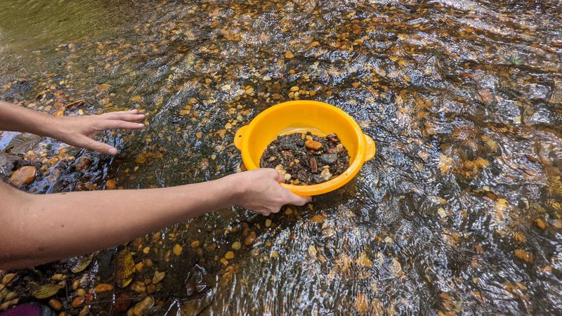 A Colts Neck Preserve With a Fossil-Hunting Creek A Colts Neck Preserve With a Fossil-Hunting Creek