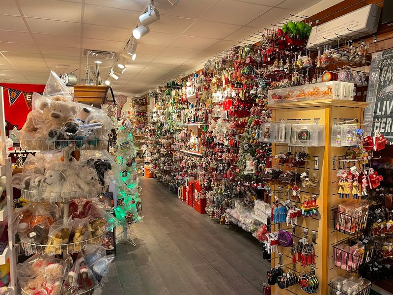 A Compact Store With Plenty To Browse