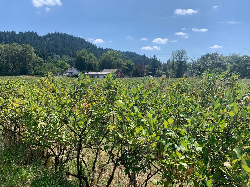 A Country Escape Minutes From the City A Country Escape Minutes From the City