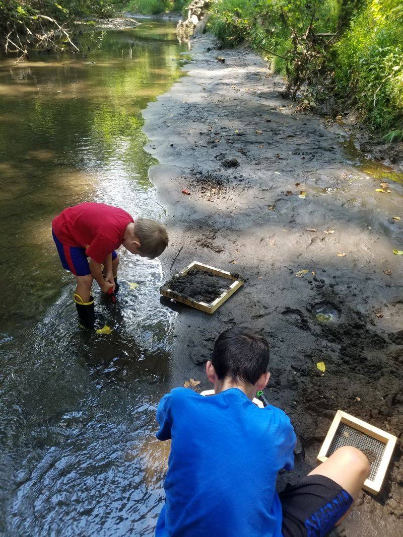 A Creek Activity That Rewards Patience A Creek Activity That Rewards Patience