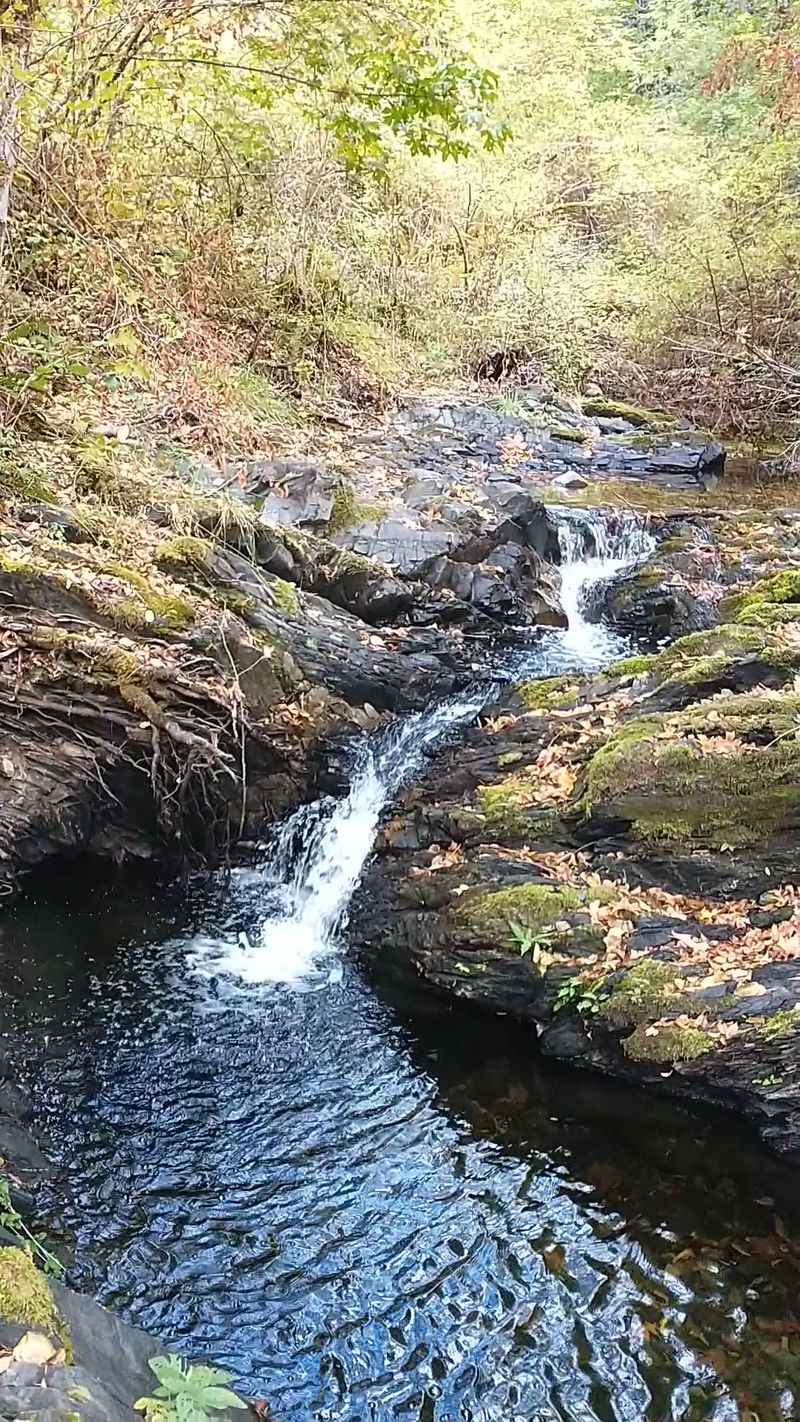 A Creek Once Combed for Gold A Creek Once Combed for Gold