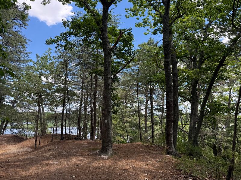 A Cumberland County Preserve With A Quiet Entrance