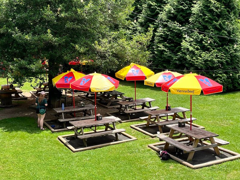 A Dog-Friendly Backyard for the Whole Family
