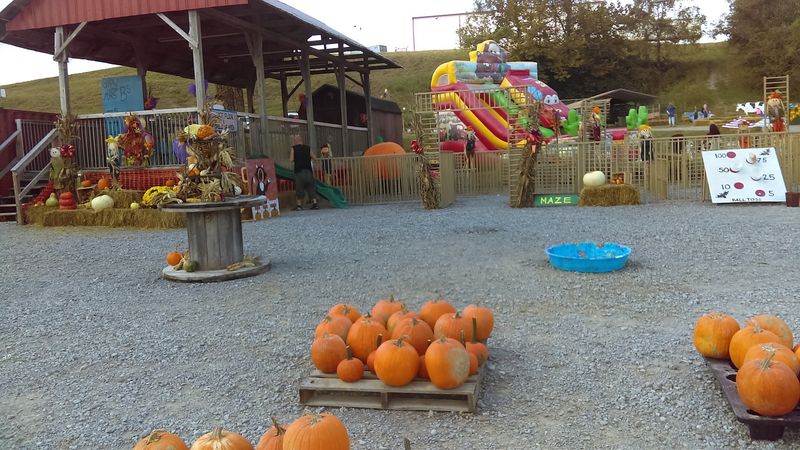 A Fall Festival Built for Little Ones A Fall Festival Built for Little Ones
