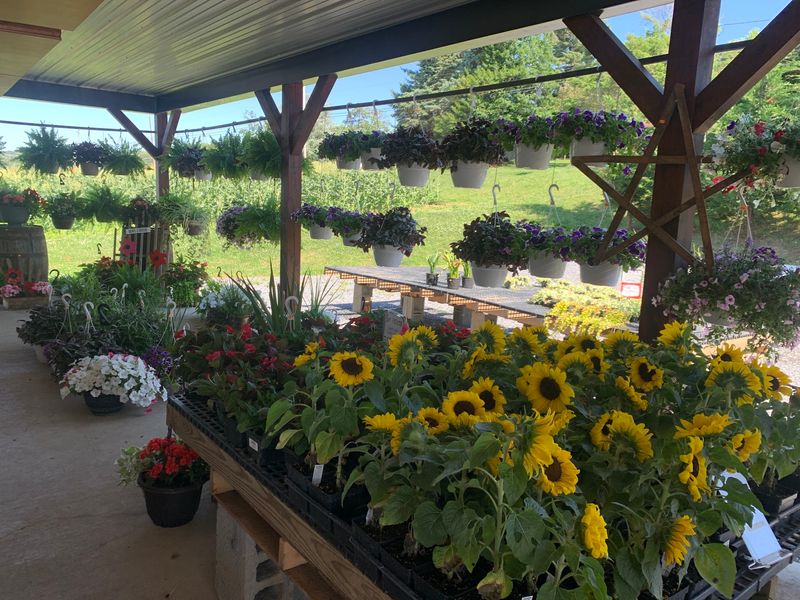 A Family Farm With Deep Roots on Marietta Avenue A Family Farm With Deep Roots on Marietta Avenue