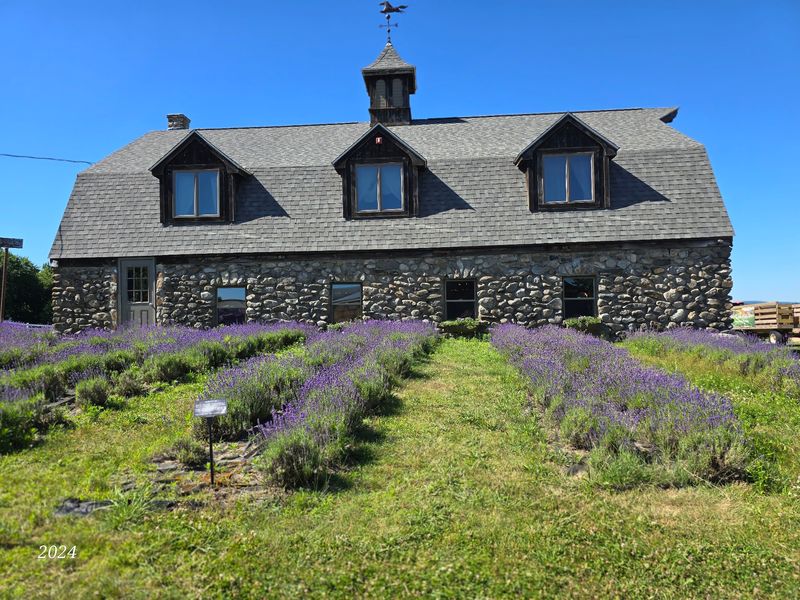 A Family Home Turned Bloom Destination