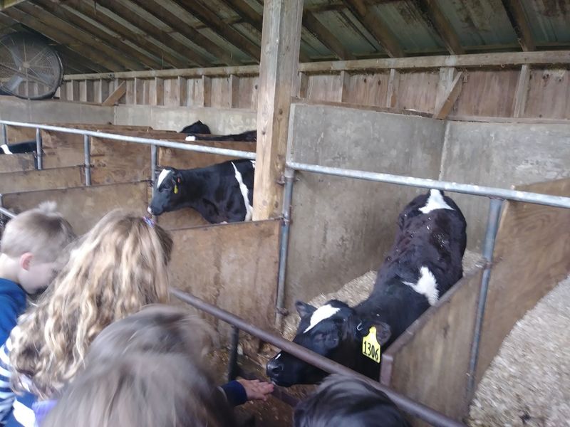A Family-Run Place Built Around Dairy