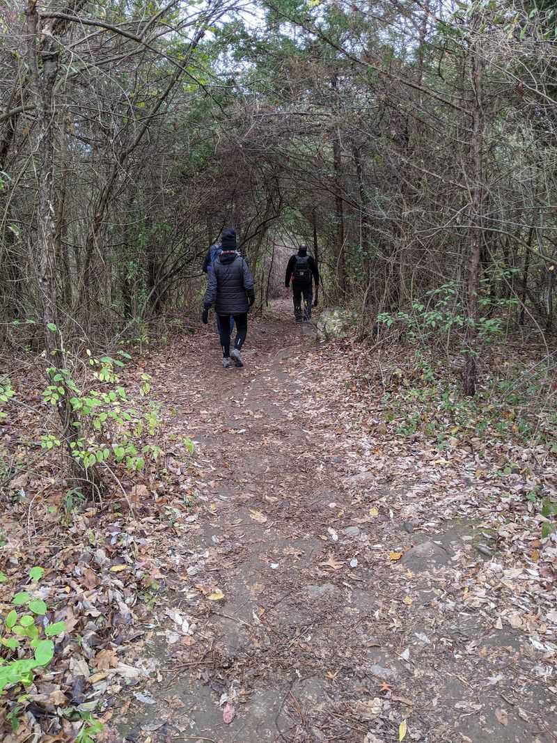 A Family Walk With Flexible Ambition A Family Walk With Flexible Ambition