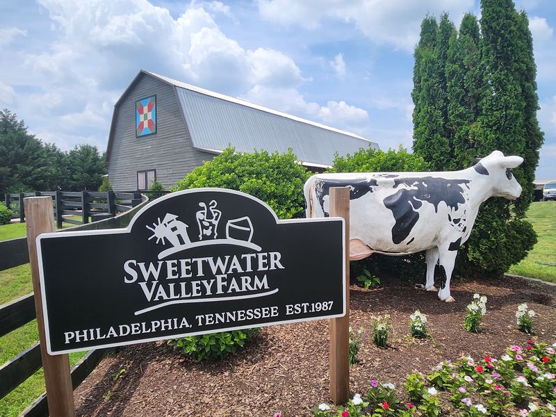 A Family's Farm That Grew Into a Destination