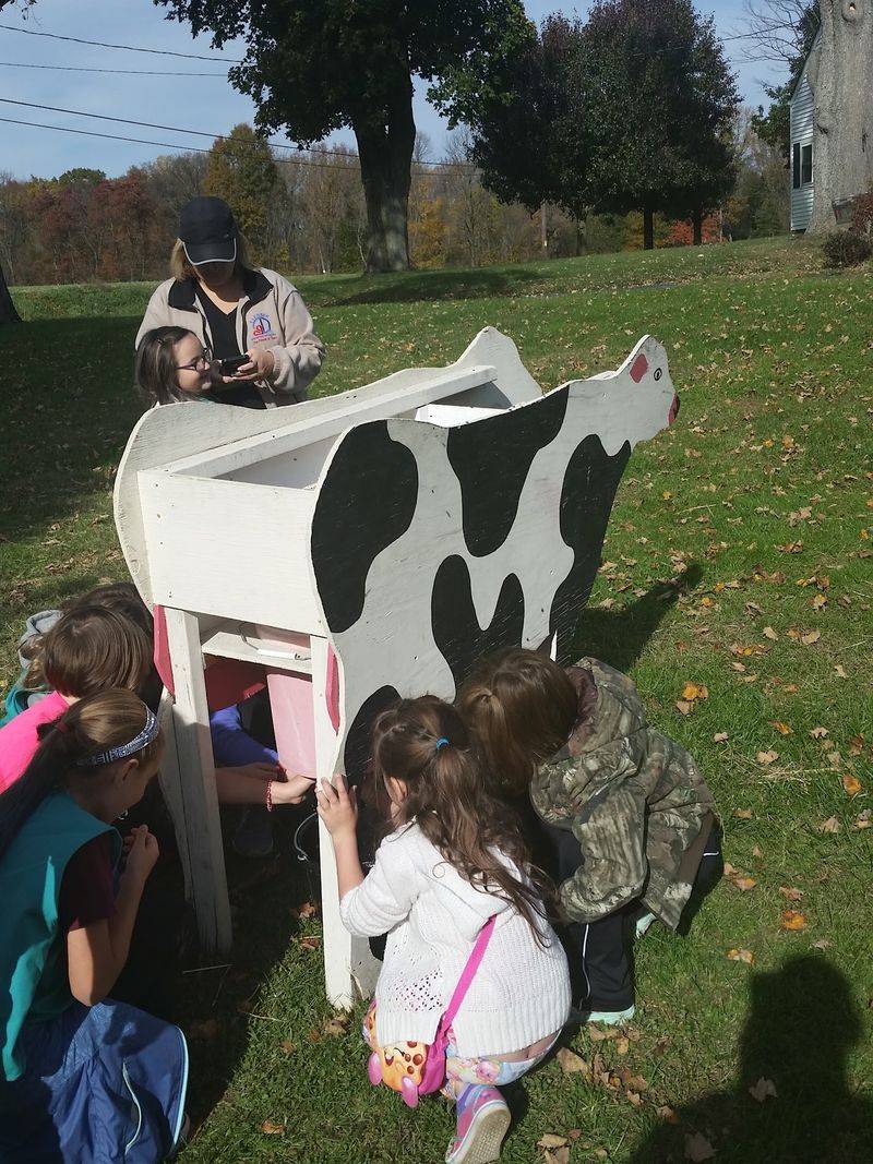 A Farm Outing Children Can Understand
