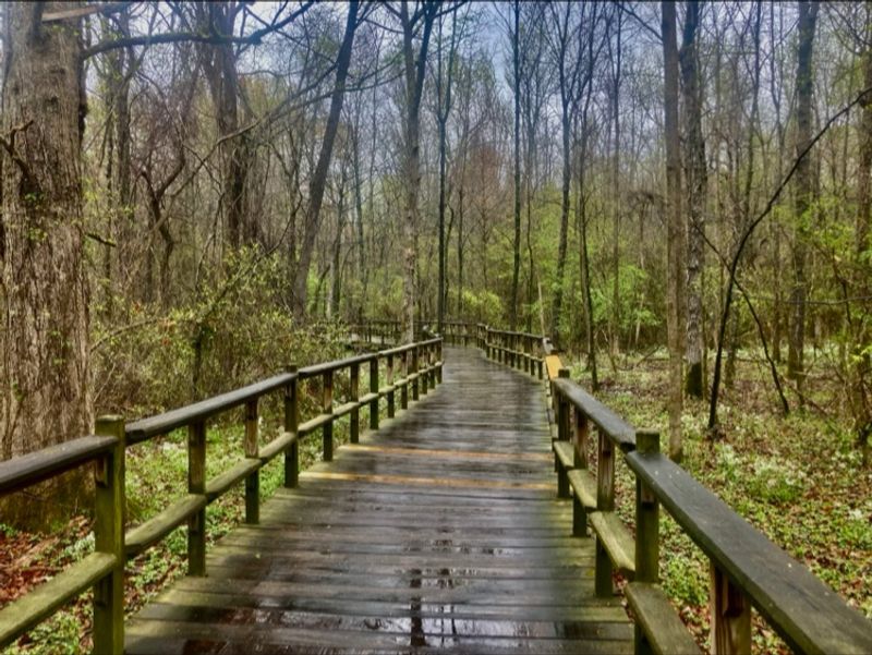 A Favorite for Runners and Walkers A Favorite for Runners and Walkers
