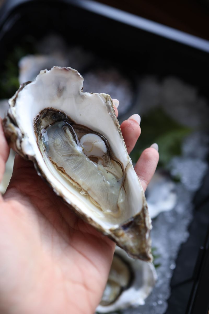 A Female Oyster Can Release More Than 100 Million Eggs at Once A Female Oyster Can Release More Than 100 Million Eggs at Once