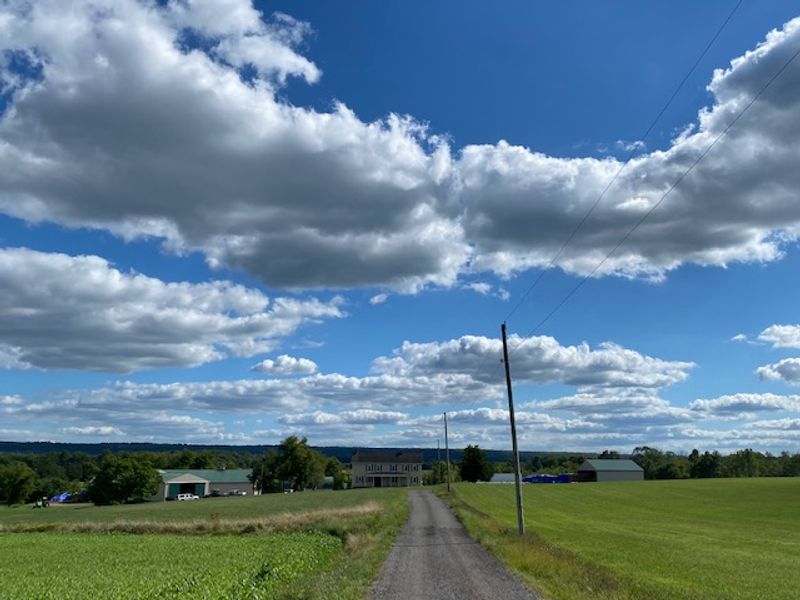 A Flemington Farm With A Very Specific Address A Flemington Farm With A Very Specific Address