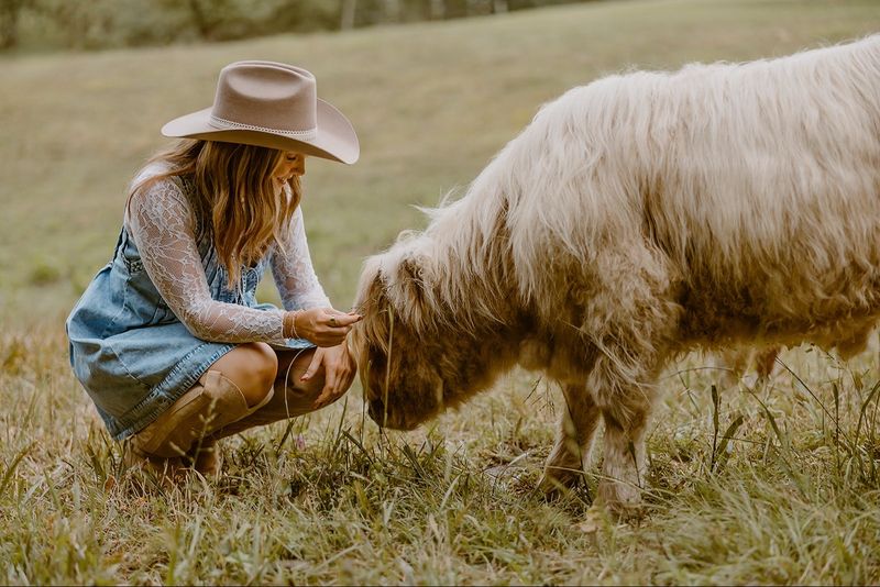 A Foothills Farm With A Fuzzy Welcome