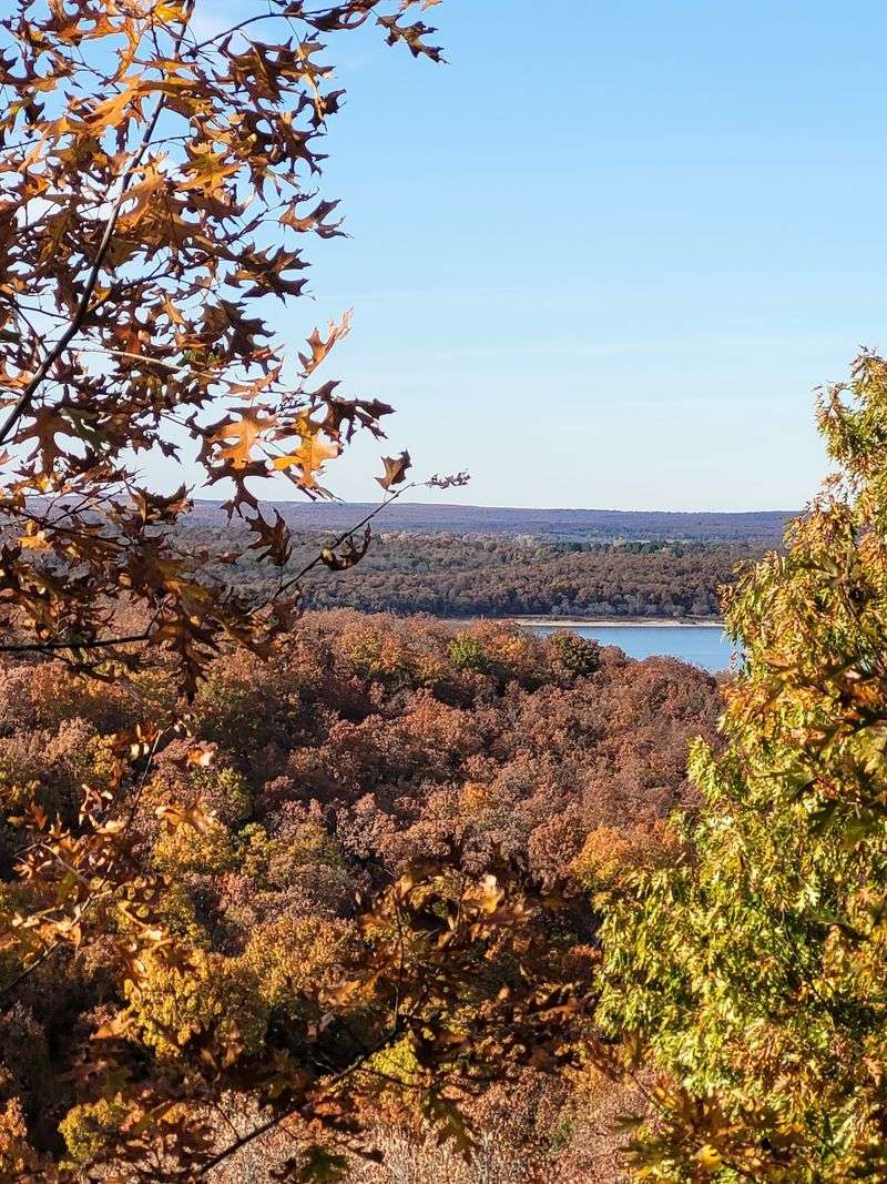 A Forest That Time Forgot Near Tulsa