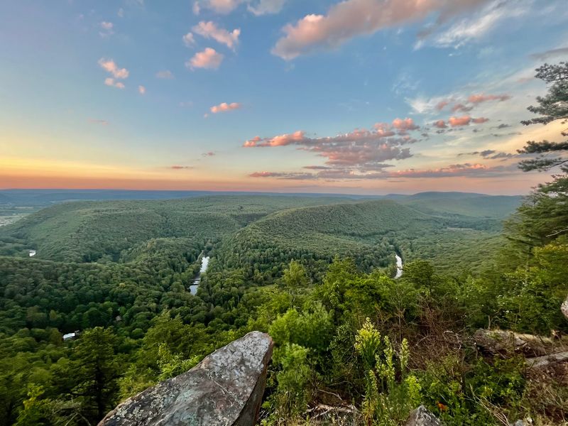 A Forest With Deep Roots: Location, Size, and History