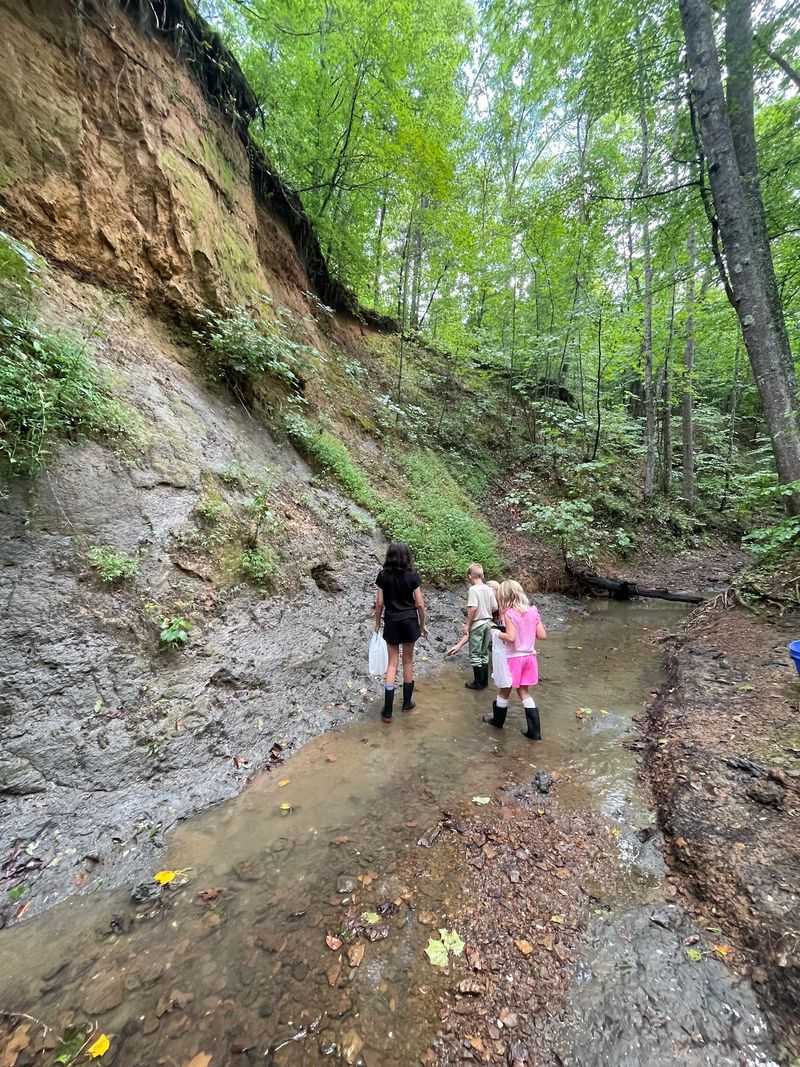 A Fossil Site Off a West Tennessee Back Road A Fossil Site Off a West Tennessee Back Road