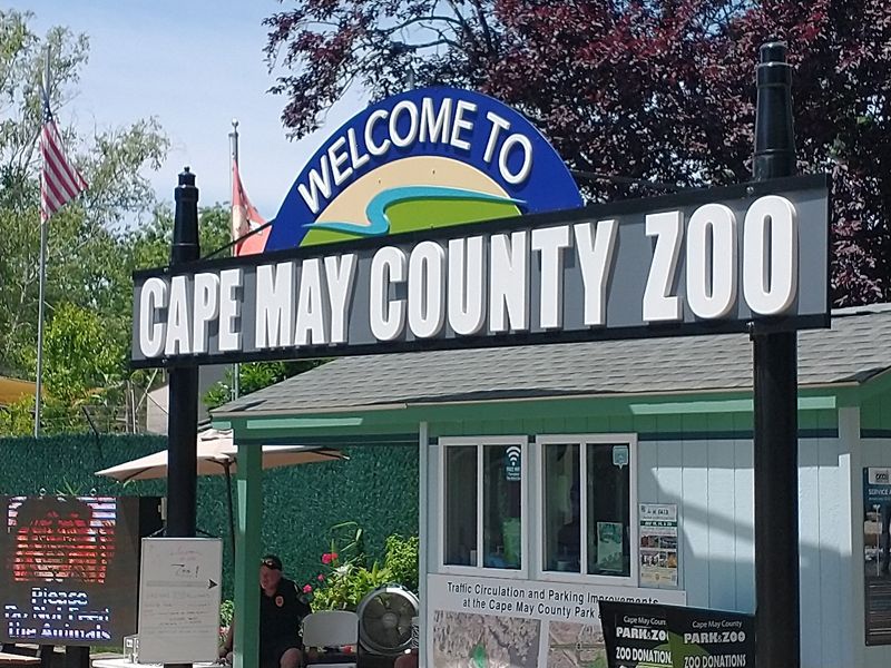 A Free Zoo On Route 9 In Cape May Court House A Free Zoo On Route 9 In Cape May Court House