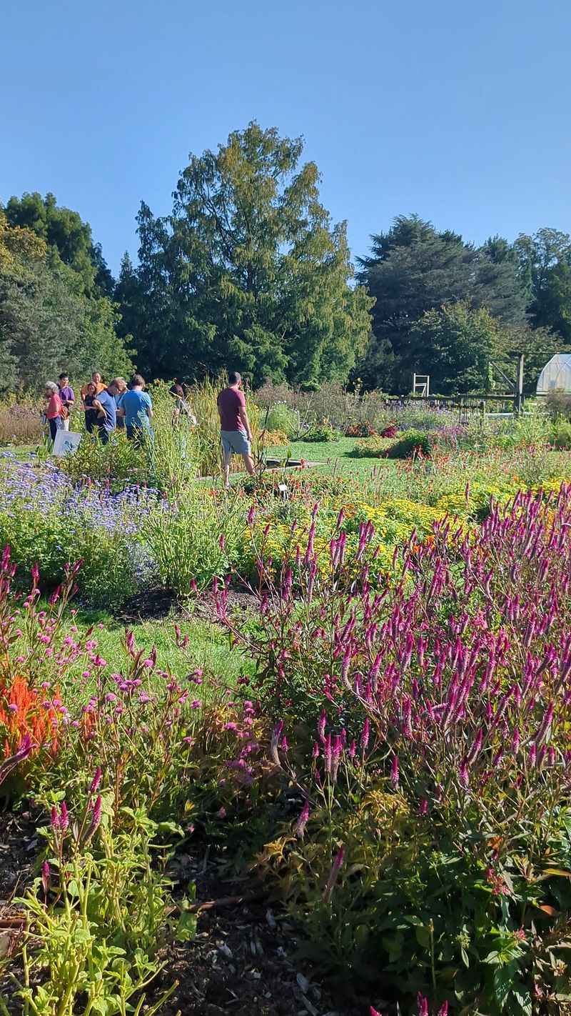 A Garden Connected to Learning A Garden Connected to Learning