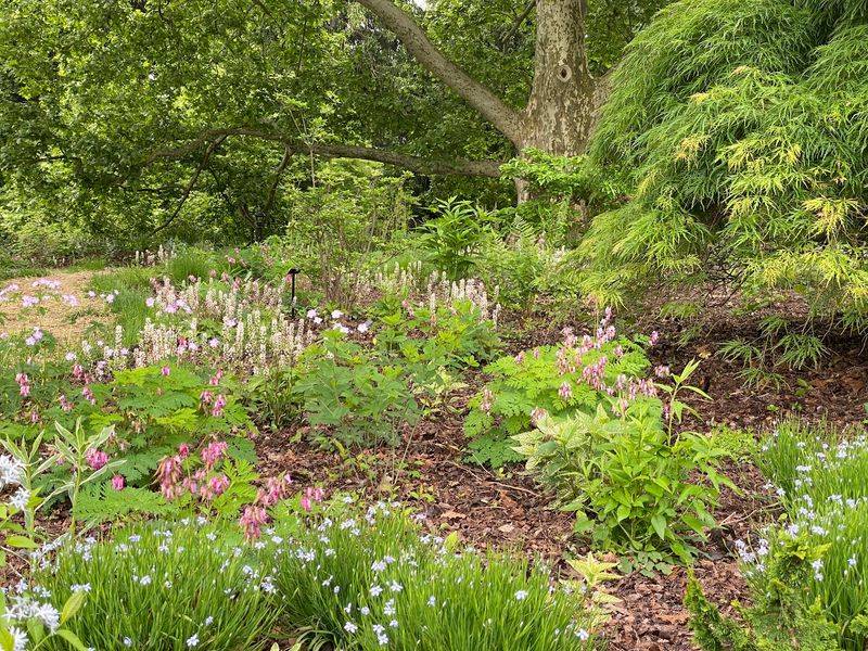 A Garden Designed for Wildlife Too A Garden Designed for Wildlife Too