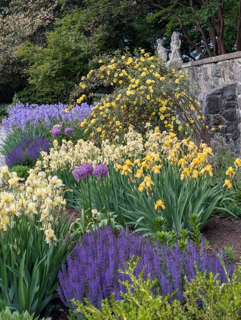 A Garden That Blooms in Every Season