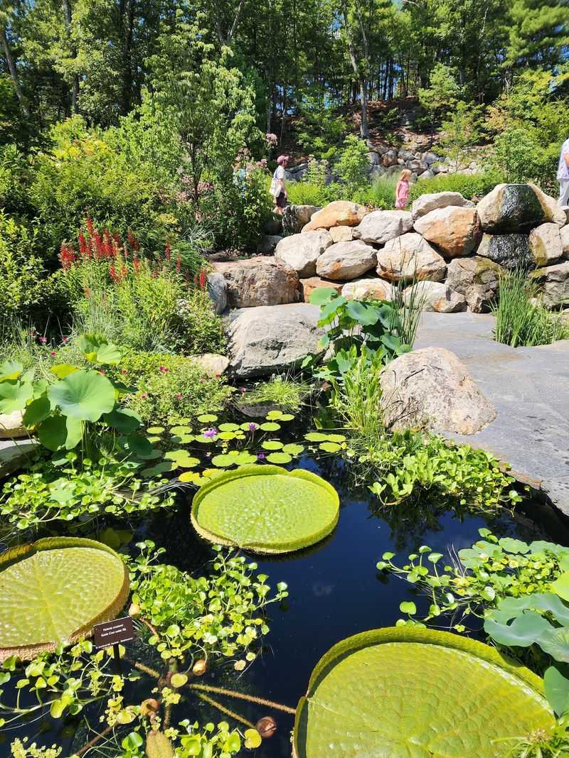 A Garden Timed to Keep You Guessing