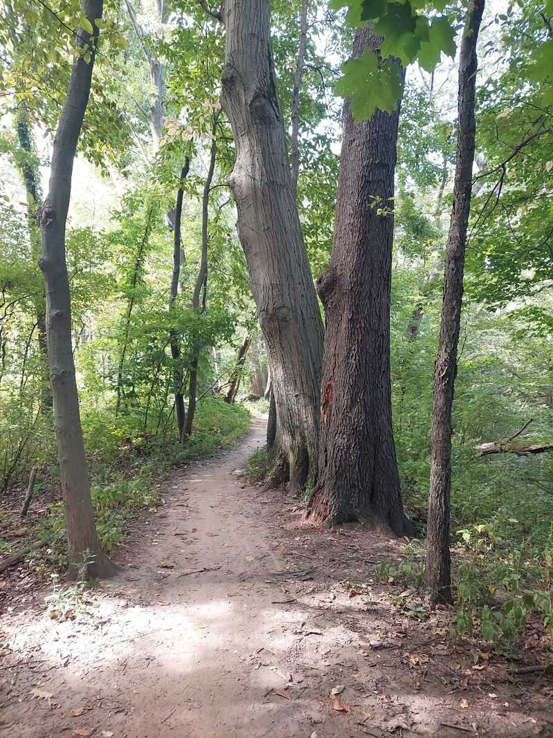 A Gateway to the Greater Erie Trail Network A Gateway to the Greater Erie Trail Network
