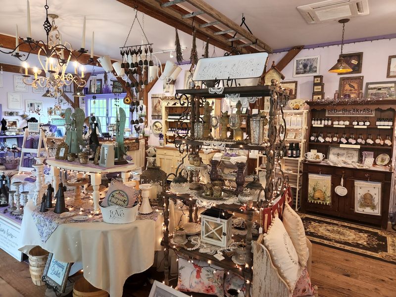 A Gift Shop With Lavender Everything Energy A Gift Shop With Lavender Everything Energy