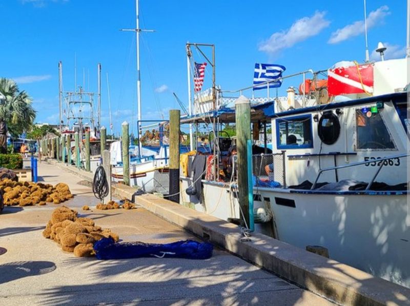 A Greek Harbor on the Gulf Coast A Greek Harbor on the Gulf Coast