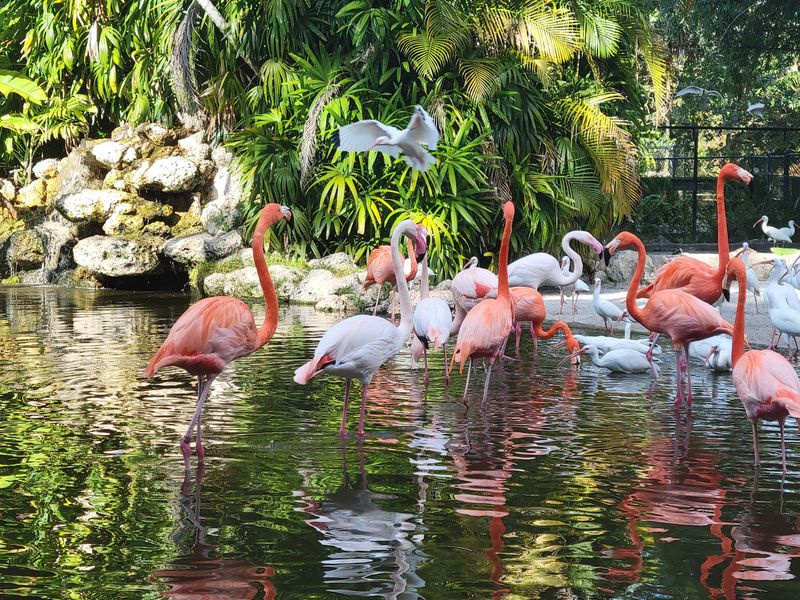A Green Oasis Hiding in Broward County A Green Oasis Hiding in Broward County