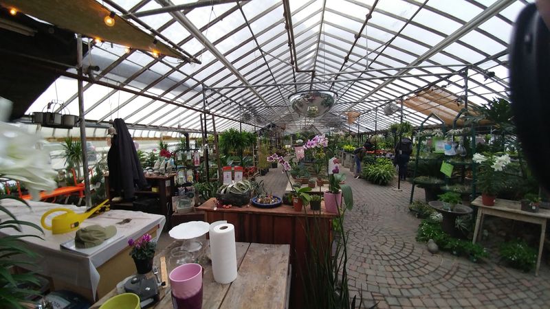 A Greenhouse That Feels Like Its Own Little World A Greenhouse That Feels Like Its Own Little World