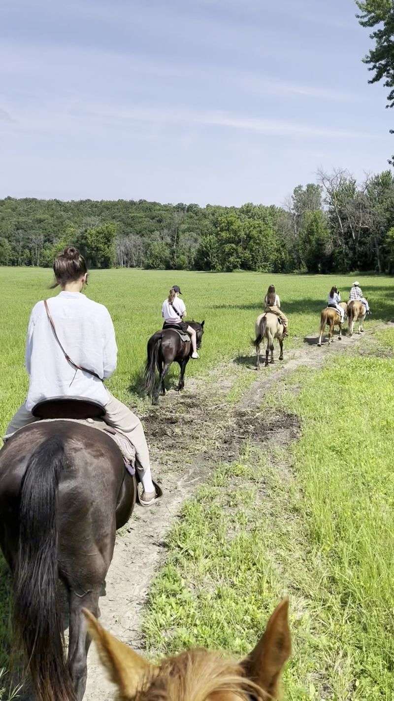 A Herd of 49 Horses Ready to Hit the Trail A Herd of 49 Horses Ready to Hit the Trail