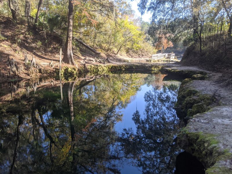 A Hidden Corner of North Florida's Suwannee Country