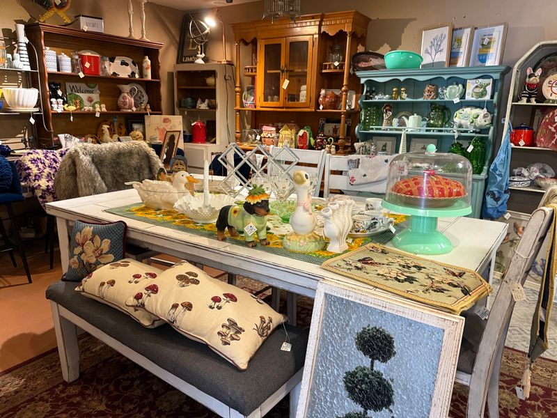 A Hidden Gem in the Heart of Apopka