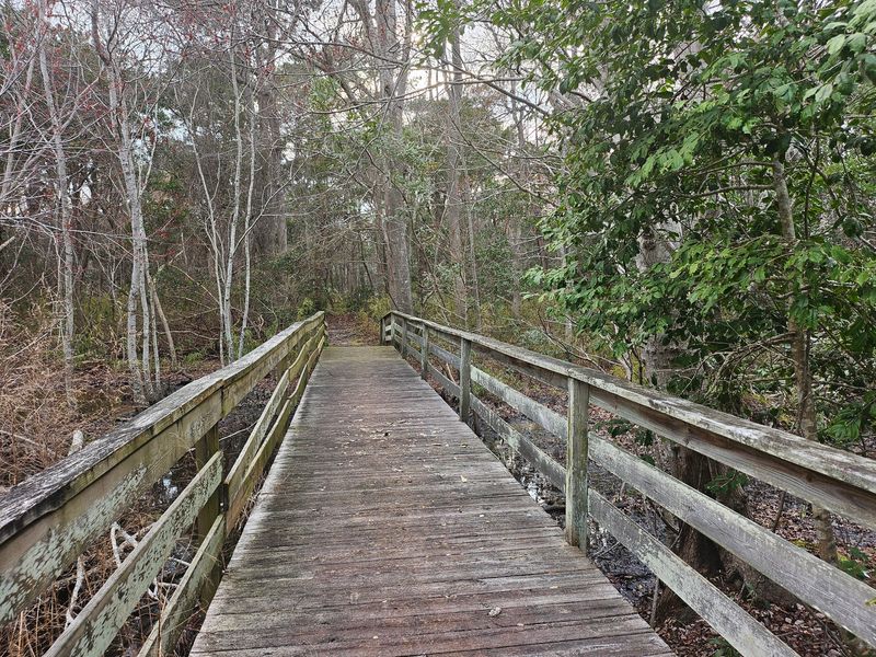 A Hidden Green Escape Along the Outer Banks