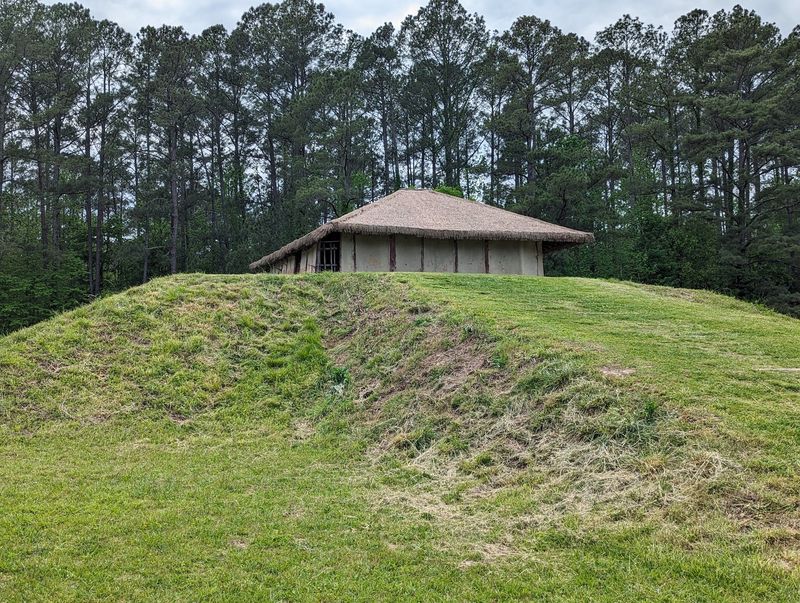 A Hidden Mound Along the Little River A Hidden Mound Along the Little River