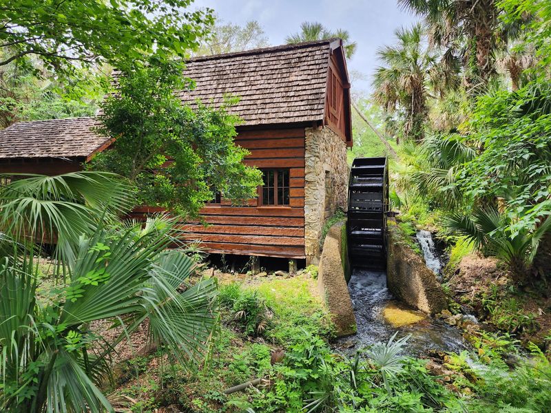 A Hidden Pocket of the Ocala National Forest A Hidden Pocket of the Ocala National Forest