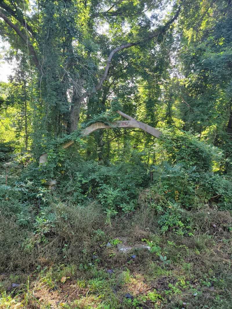 A Hidden Treasure Locals Have Loved for Generations