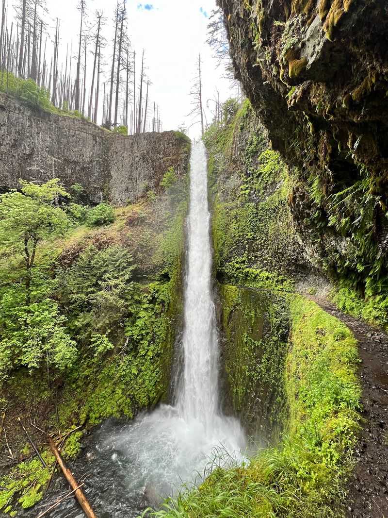 A Hidden Waterfall Deep in the Columbia River Gorge