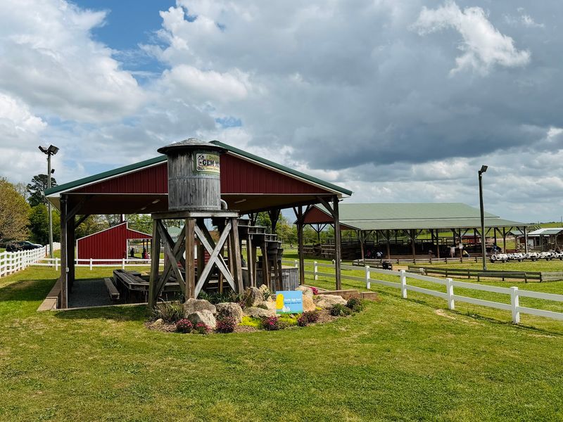 A Historic Family Farm on Denver Road A Historic Family Farm on Denver Road