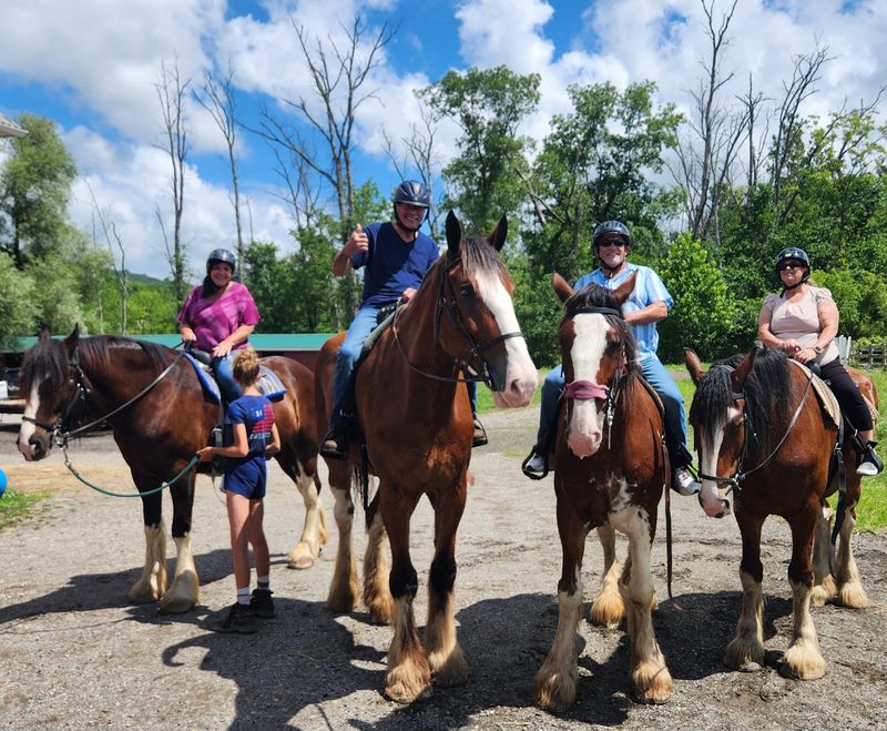 A Horse Farm in Long Valley