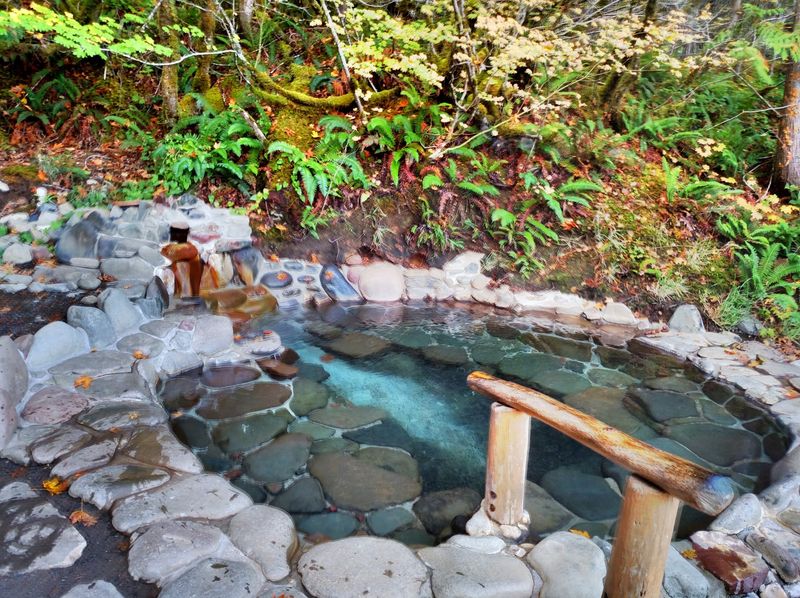 A Hot Springs Hideaway in the Willamette National Forest A Hot Springs Hideaway in the Willamette National Forest