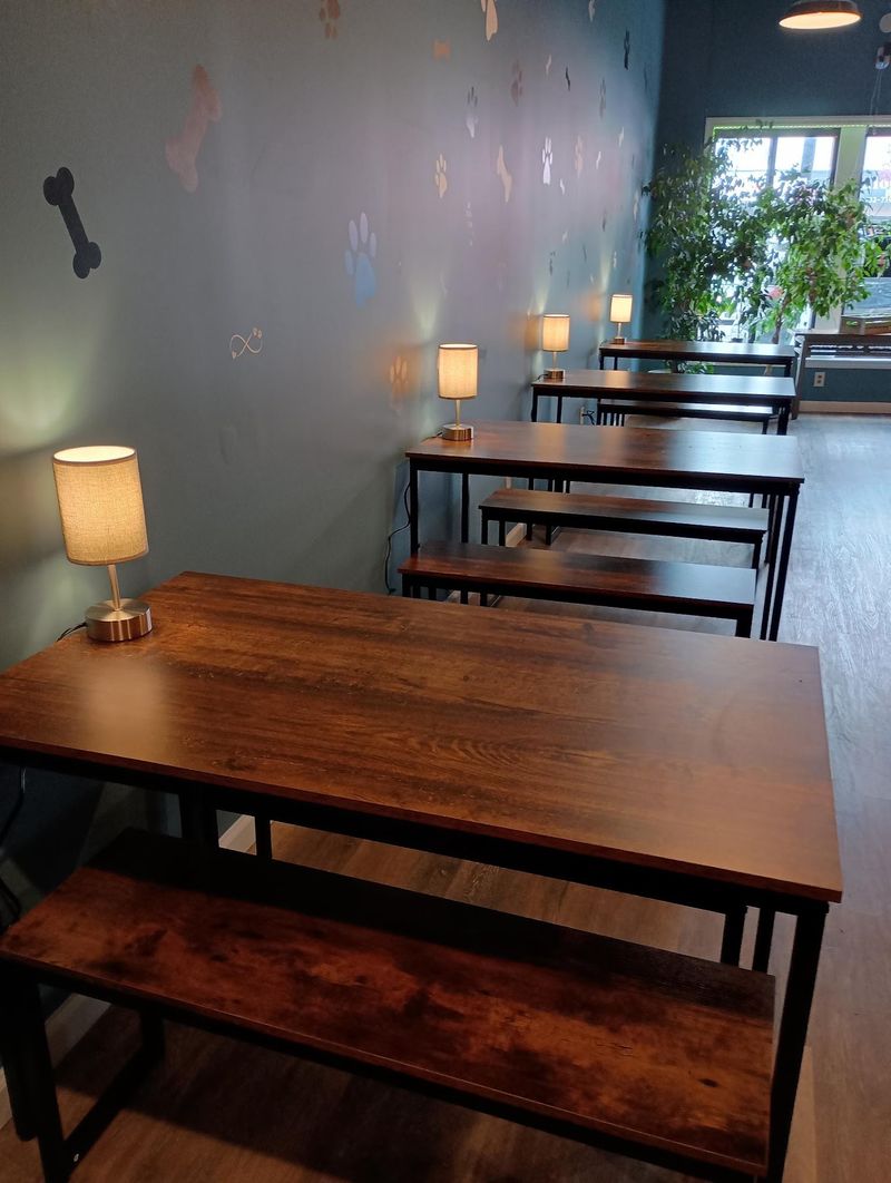 A Keyport Café Built Around Dogs And Their People A Keyport Café Built Around Dogs And Their People