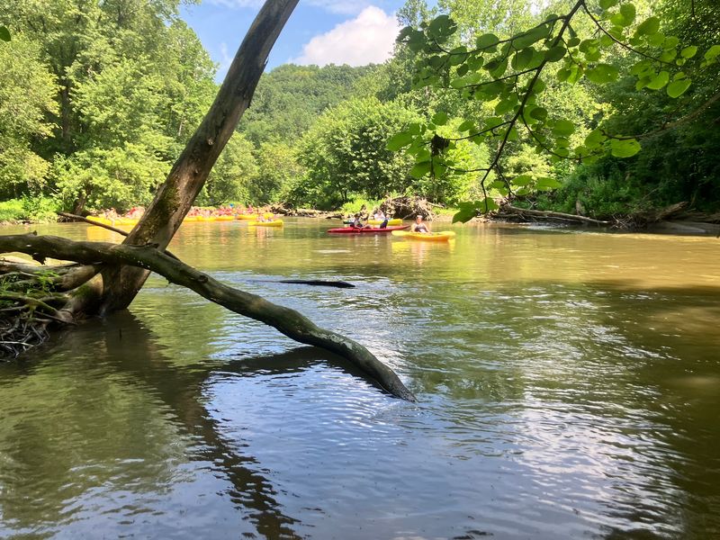 A Legacy Built on the River A Legacy Built on the River