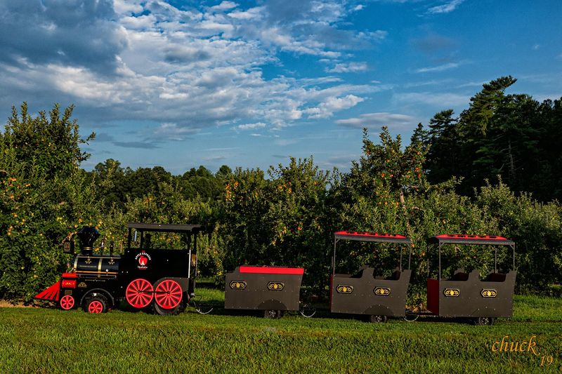A Little Train and Family Fun A Little Train and Family Fun