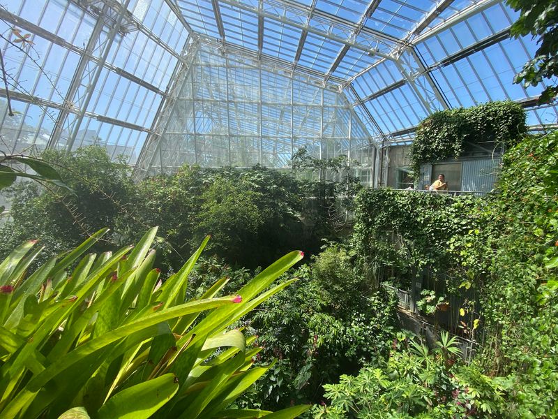 A Living Museum Rooted in Cleveland's Cultural Heart