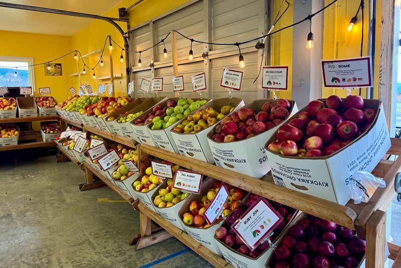 A Living Museum of 150 Apple Varieties A Living Museum of 150 Apple Varieties